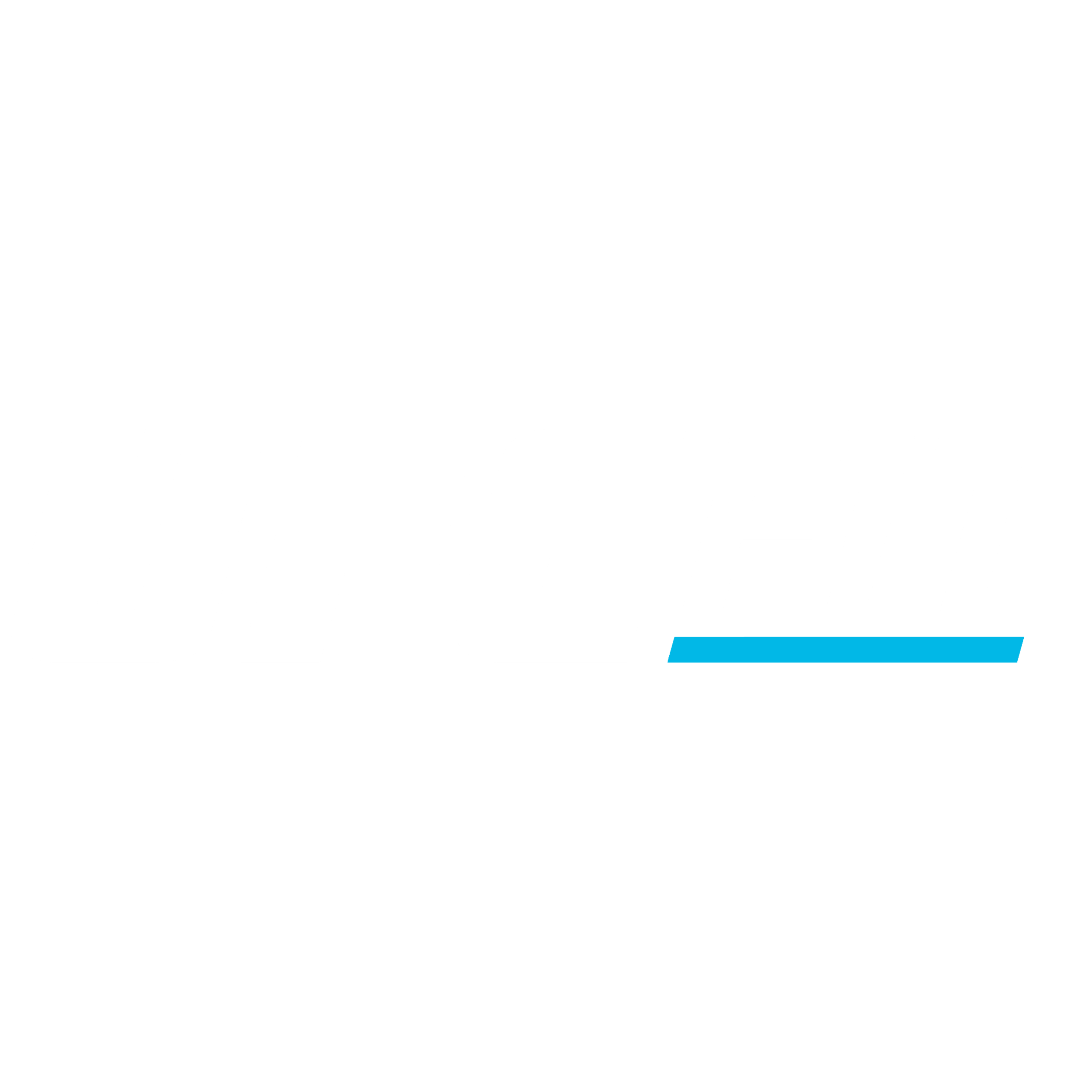 UFC (1)